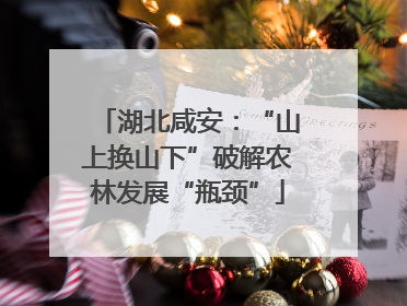 湖北咸安：“山上换山下”破解农林发展“瓶颈”