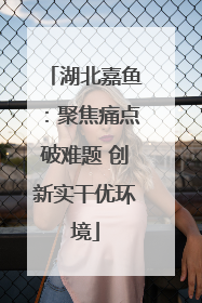 湖北嘉鱼：聚焦痛点破难题 创新实干优环境