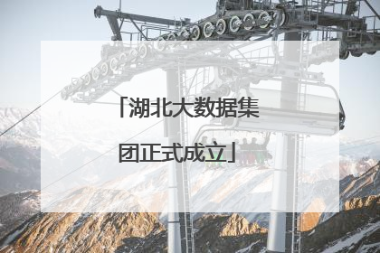 湖北大数据集团正式成立