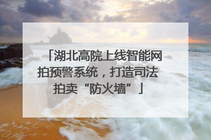 湖北高院上线智能网拍预警系统，打造司法拍卖“防火墙”