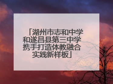 湖州市志和中学和遂昌县第三中学携手打造体教融合实践新样板