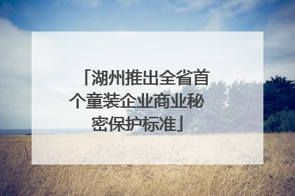 湖州推出全省首个童装企业商业秘密保护标准
