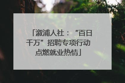 溆浦人社：“百日千万”招聘专项行动点燃就业热情