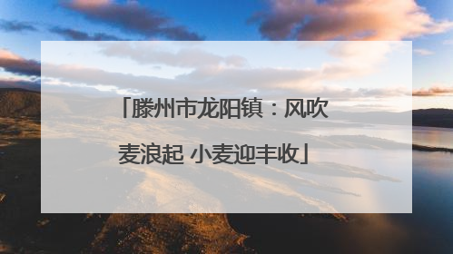 滕州市龙阳镇：风吹麦浪起 小麦迎丰收
