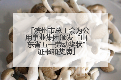 滨州市总工会为公用事业集团颁发“山东省五一劳动奖状”证书和奖牌