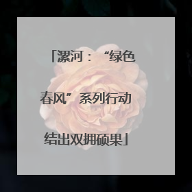 漯河：“绿色春风”系列行动结出双拥硕果
