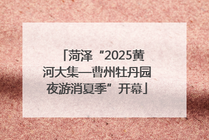 菏泽“2025黄河大集—曹州牡丹园夜游消夏季”开幕