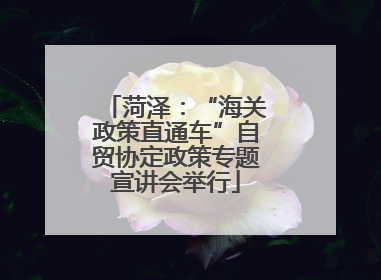 菏泽：“海关政策直通车”自贸协定政策专题宣讲会举行