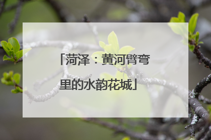 菏泽：黄河臂弯里的水韵花城
