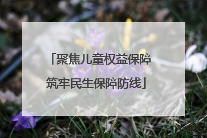 聚焦儿童权益保障 筑牢民生保障防线