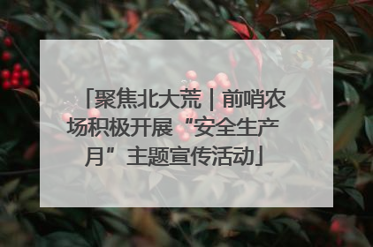 聚焦北大荒｜前哨农场积极开展“安全生产月”主题宣传活动