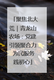 聚焦北大荒｜青龙山农场：党建引领聚合力 为民服务践初心