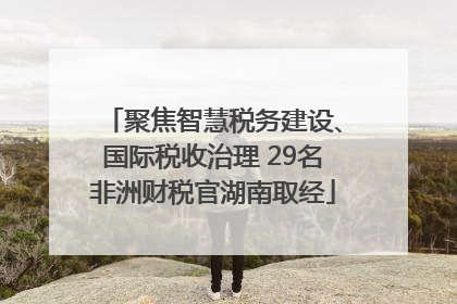 聚焦智慧税务建设、国际税收治理 29名非洲财税官湖南取经
