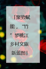聚势赋能，“竹”梦桃江乡村文旅新蓝图