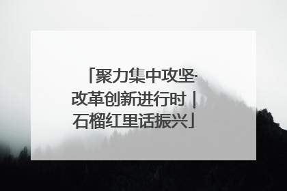 聚力集中攻坚·改革创新进行时｜石榴红里话振兴