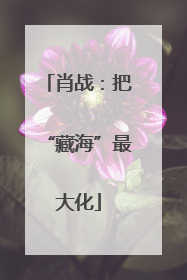 肖战：把“藏海”最大化