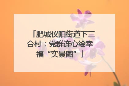 肥城仪阳街道下三合村：党群连心绘幸福“实景图”