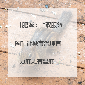 肥城：“双服务圈”让城市治理有力度更有温度