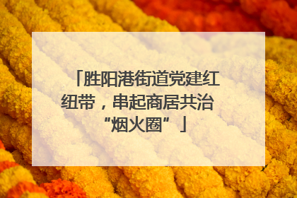胜阳港街道党建红纽带，串起商居共治 “烟火圈”