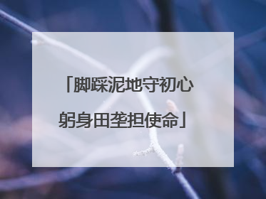脚踩泥地守初心 躬身田垄担使命