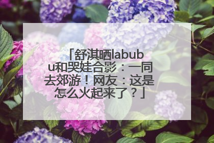 舒淇晒labubu和哭娃合影：一同去郊游！网友：这是怎么火起来了？