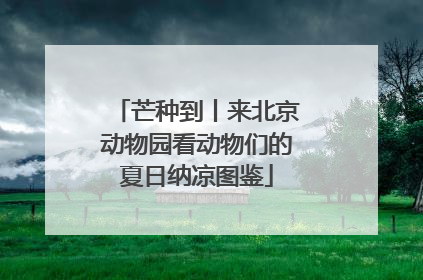 芒种到丨来北京动物园看动物们的夏日纳凉图鉴