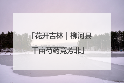 花开吉林｜柳河县千亩芍药竞芳菲