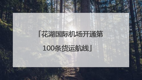 花湖国际机场开通第100条货运航线