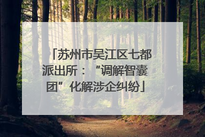 苏州市吴江区七都派出所：“调解智囊团”化解涉企纠纷