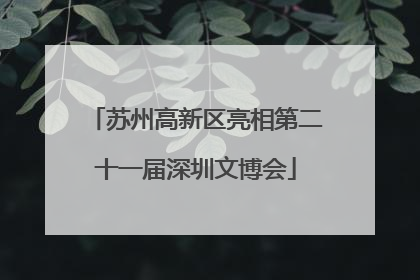 苏州高新区亮相第二十一届深圳文博会