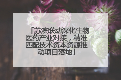 苏滨联动深化生物医药产业对接，精准匹配技术资本资源推动项目落地