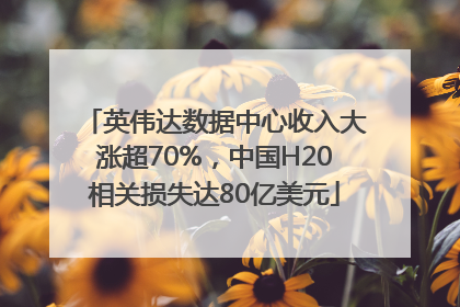 英伟达数据中心收入大涨超70%，中国H20相关损失达80亿美元