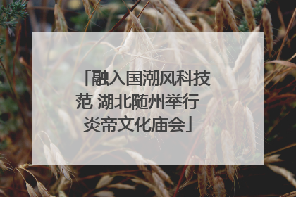 融入国潮风科技范 湖北随州举行炎帝文化庙会