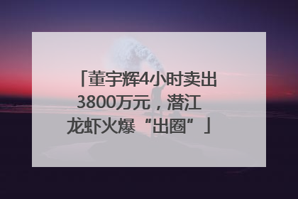 董宇辉4小时卖出3800万元，潜江龙虾火爆“出圈”