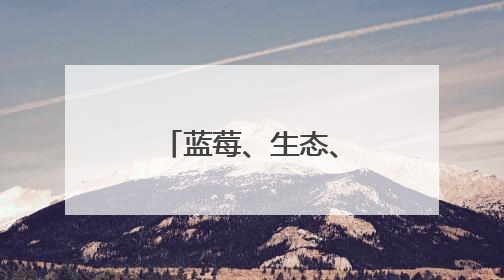 蓝莓、生态、艺术……记者实探张家楼乡村振兴“三重奏”