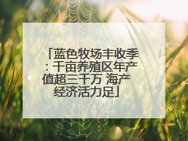 蓝色牧场丰收季：千亩养殖区年产值超三千万 海产经济活力足