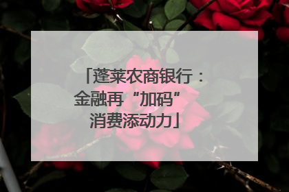 蓬莱农商银行：金融再“加码” 消费添动力