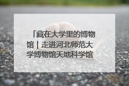 藏在大学里的博物馆｜走进河北师范大学博物馆天地科学馆：在校园里赴一场“宇宙之约”