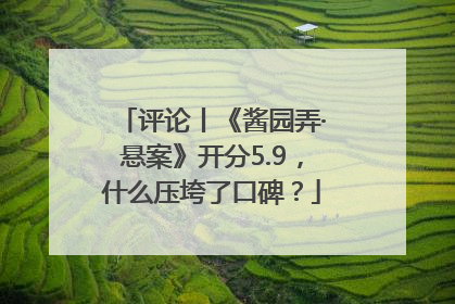评论丨《酱园弄·悬案》开分5.9，什么压垮了口碑？