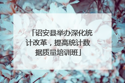 诏安县举办深化统计改革,提高统计数据质量培训班