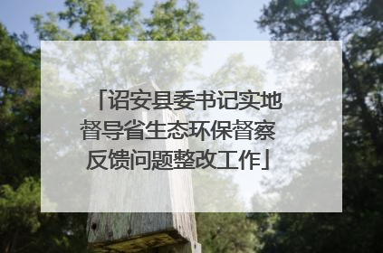 诏安县委书记实地督导省生态环保督察反馈问题整改工作