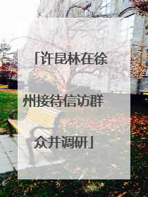 许昆林在徐州接待信访群众并调研