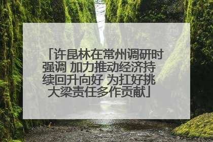 许昆林在常州调研时强调 加力推动经济持续回升向好 为扛好挑大梁责任多作贡献