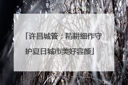 许昌城管：精耕细作守护夏日城市美好容颜