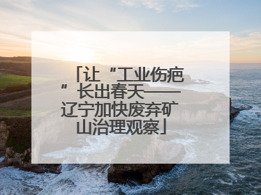 让“工业伤疤”长出春天——辽宁加快废弃矿山治理观察
