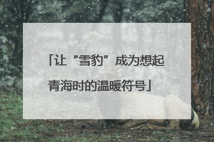 让“雪豹”成为想起青海时的温暖符号