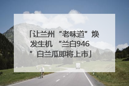 让兰州“老味道”焕发生机 “兰白946”白兰瓜即将上市
