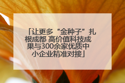 让更多“金种子”扎根成都 高价值科技成果与300余家优质中小企业精准对接