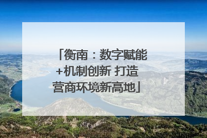衡南：数字赋能+机制创新 打造营商环境新高地
