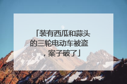 装有西瓜和蒜头的三轮电动车被盗，案子破了